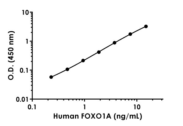 Sandwich ELISA - Human FOXO1A ELISA Kit (AB215087)