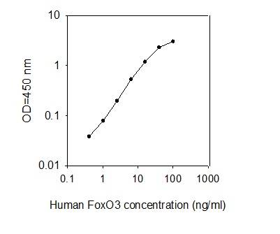 ELISA - Human FOXO3A ELISA Kit (AB277471)