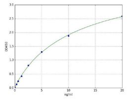 Sandwich ELISA - Human FOXP3 ELISA Kit (AB285290), expandable thumbnail