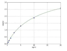 Sandwich ELISA - Human FOXP3 ELISA Kit (AB285290)