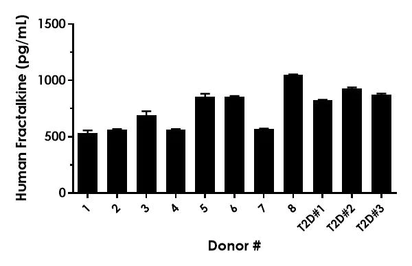 Sandwich ELISA - Human Fractalkine (CX3CL1) ELISA Kit- Extracellular (AB322378)