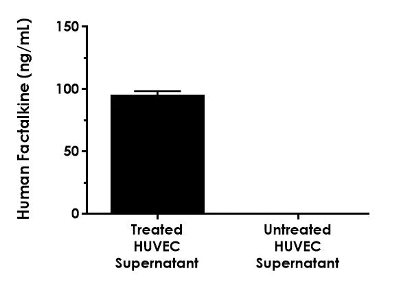 Sandwich ELISA - Human Fractalkine (CX3CL1) ELISA Kit- Extracellular (AB322378)
