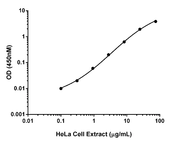 Sandwich ELISA - Human Frataxin ELISA Kit (10 x 96 well plate) (AB201121)