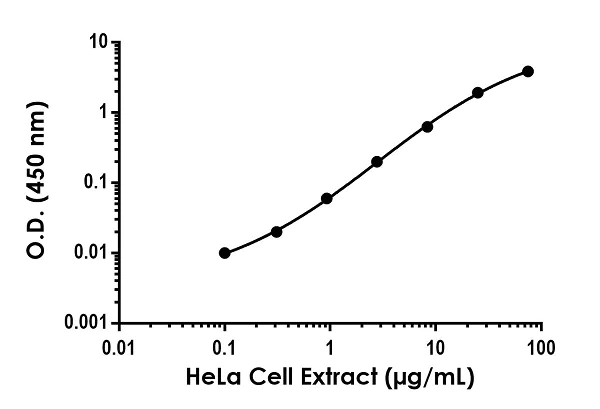 Sandwich ELISA - Human Frataxin ELISA Kit, Fluorescent (AB229412)