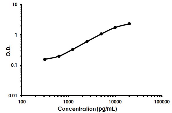 Sandwich ELISA - Human FSTL1 ELISA Kit (AB213782), expandable thumbnail