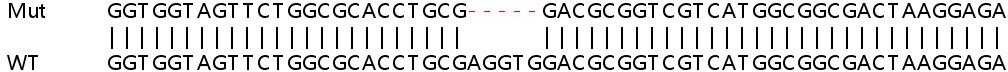 Sanger Sequencing - Human FTH1 knockout HEK-293T cell lysate (AB256924), expandable thumbnail