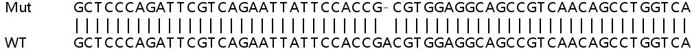 Sanger Sequencing - Human FTL knockout HeLa cell lysate (AB256926), expandable thumbnail