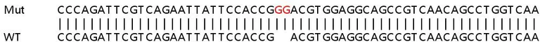 Sanger Sequencing - Human FTL knockout HeLa cell lysate (AB256927)