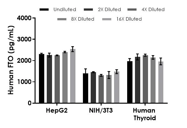 Sandwich ELISA - Human FTO ELISA Kit (AB309316)