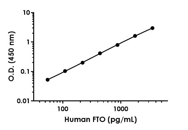 Sandwich ELISA - Human FTO ELISA Kit (AB309316)