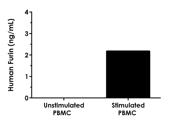 Sandwich ELISA - Human Furin ELISA Kit (AB282292)