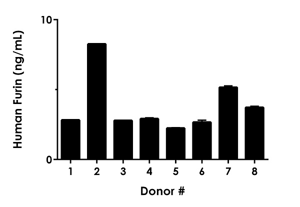Sandwich ELISA - Human Furin ELISA Kit (AB282292)