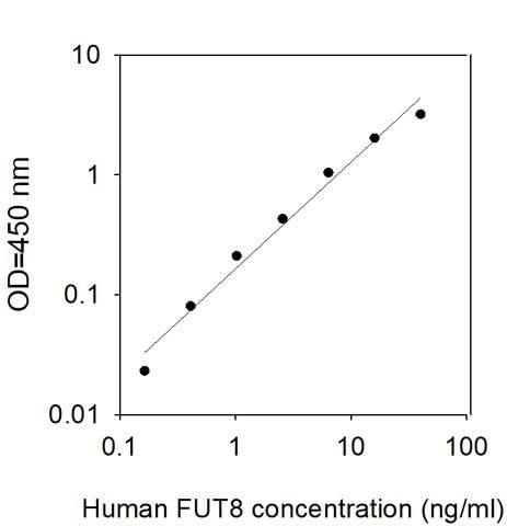 Sandwich ELISA - Human FUT8 ELISA Kit (AB313609)