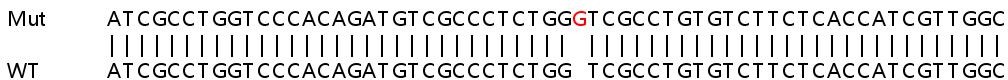 Sanger Sequencing - Human FXYD5 (Dysadherin) knockout HEK-293T cell lysate (AB263207), expandable thumbnail