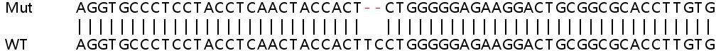 Sanger Sequencing - Human FZD1 (Frizzled homolog 1) knockout HeLa cell line (AB265463)
