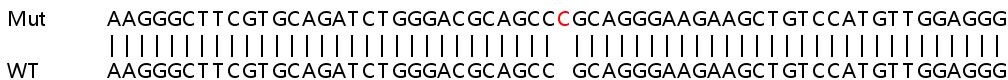 Sanger Sequencing - Human FZR1 knockout HEK-293T cell lysate (AB263208), expandable thumbnail