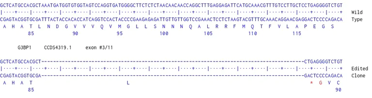 Next Generation Sequencing - Human G3BP1 knockout U-87 MG cell line (AB306667)