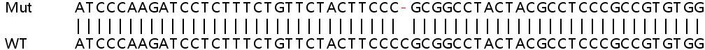 Sanger Sequencing - Human G6PC3 knockout HEK-293T cell lysate (AB258427)