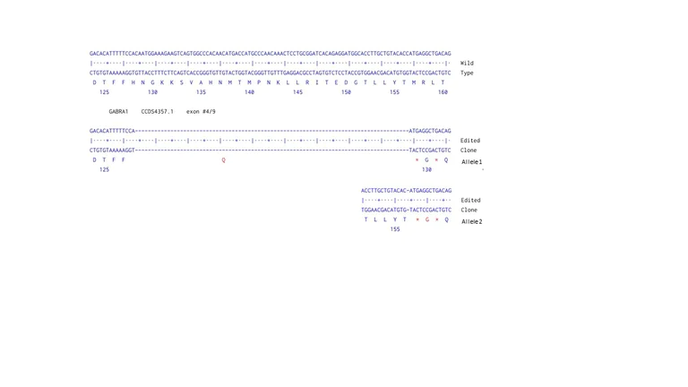 Next Generation Sequencing - Human GABRA1 knockout U-87 MG cell line (AB306669)