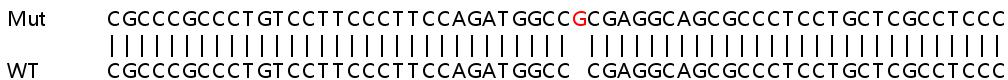 Sanger Sequencing - Human GAL (Galanin) knockout HeLa cell lysate (AB257447)