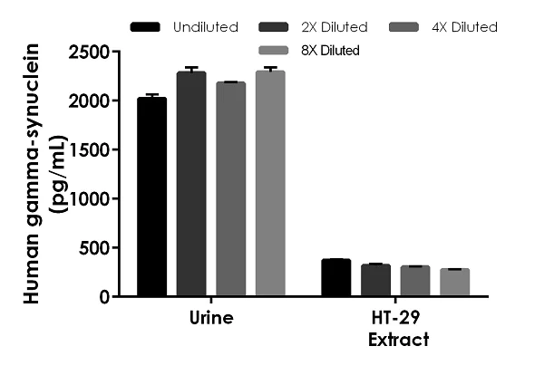 Sandwich ELISA - Human gamma-synuclein ELISA Kit (AB224884)