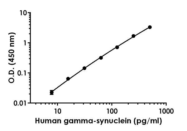 Sandwich ELISA - Human gamma-synuclein ELISA Kit (AB224884)