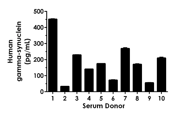 Sandwich ELISA - Human gamma-synuclein ELISA Kit (AB224884)