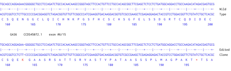 Next Generation Sequencing - Human GAS6 knockout HEK-293 cell line (AB275837)