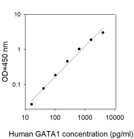 Sandwich ELISA - Human GATA1 ELISA Kit (AB309395)