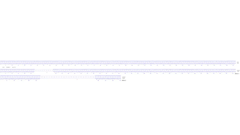 Next Generation Sequencing - Human GATA2 knockout HCT116 cell line (AB287442)