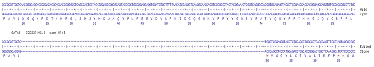 Next Generation Sequencing - Human GATA3 knockout A549 cell line (AB286669)