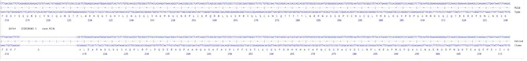 Next Generation Sequencing - Human GATA4 knockout HCT116 cell line (AB289127)