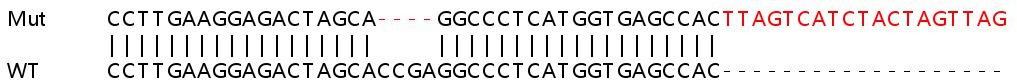 Sanger Sequencing - Human GATAD2A knockout HeLa cell line (AB265713), expandable thumbnail