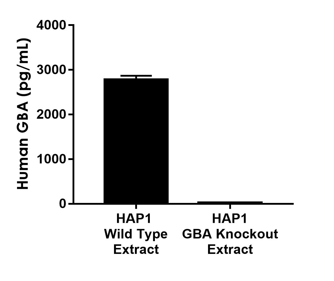 Sandwich ELISA - Human GBA Antibody Pair - BSA and Azide free (AB309266)