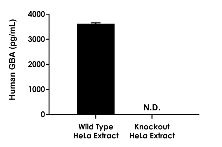 Sandwich ELISA - Human GBA knockout HeLa cell line (AB265038)