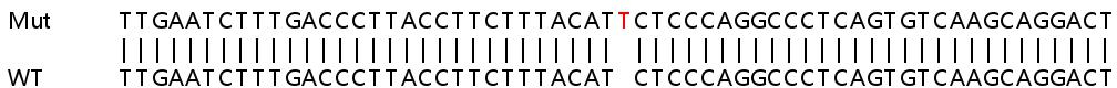 Sanger Sequencing - Human GBP3 knockout A549 cell line (AB267190), expandable thumbnail