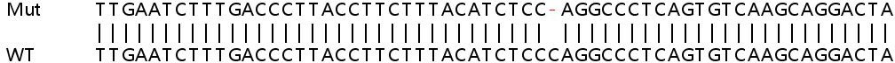 Sanger Sequencing - Human GBP3 knockout A549 cell line (AB267190), expandable thumbnail