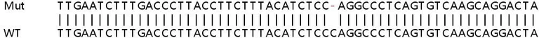 Sanger Sequencing - Human GBP3 knockout A549 cell lysate (AB258875)