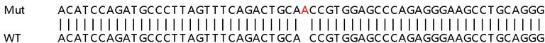 Sanger Sequencing - Human GBP4 knockout A549 cell line (AB267044)