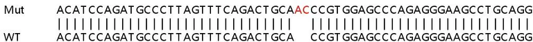 Sanger Sequencing - Human GBP4 knockout A549 cell line (AB267045)