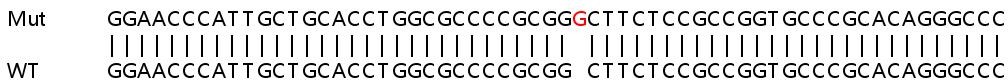 Sanger Sequencing - Human GCH1 knockout A549 cell line (AB267053), expandable thumbnail