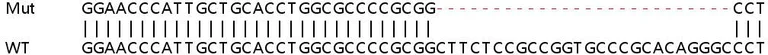 Sanger Sequencing - Human GCH1 knockout A549 cell line (AB267053)