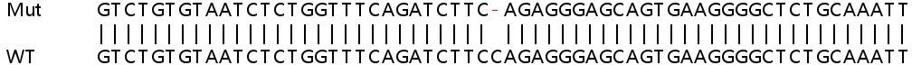 Sanger Sequencing - Human GCN1L1 knockout HEK-293T cell line (AB266780), expandable thumbnail