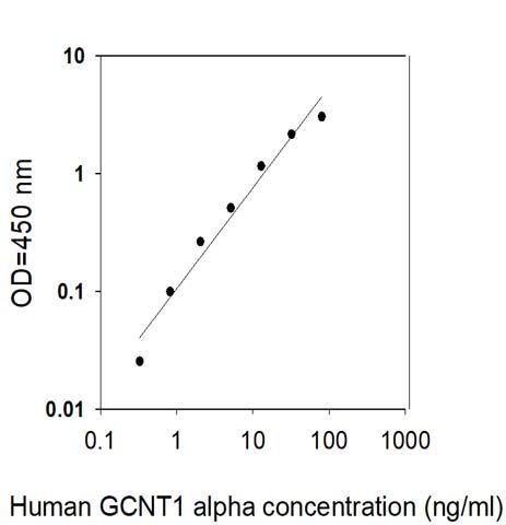 Sandwich ELISA - Human GCNT1 ELISA Kit (AB313963), expandable thumbnail