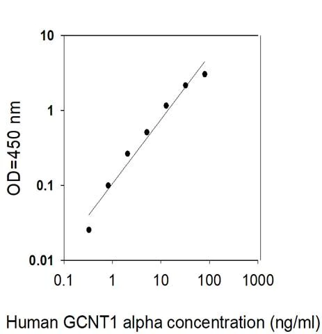 Sandwich ELISA - Human GCNT1 ELISA Kit (AB313963)