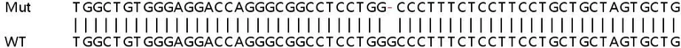 Sanger Sequencing - Human GDE1 (MIR16) knockout HeLa cell line (AB265866)