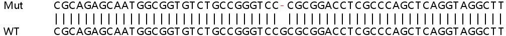 Sanger Sequencing - Human GGCX knockout HeLa cell lysate (AB258432), expandable thumbnail