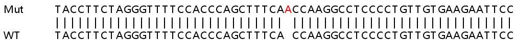 Sanger Sequencing - Human GHITM (MICS1) knockout HEK-293T cell lysate (AB258882)