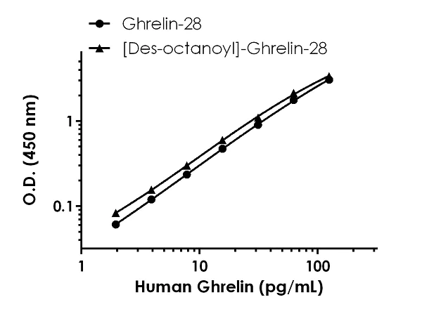Sandwich ELISA - Human Ghrelin ELISA Kit (Ghrelin-28) (AB263887)