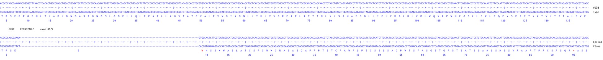 Human GHSR knockout A549 cell line